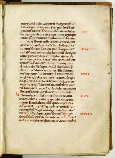 19 recto