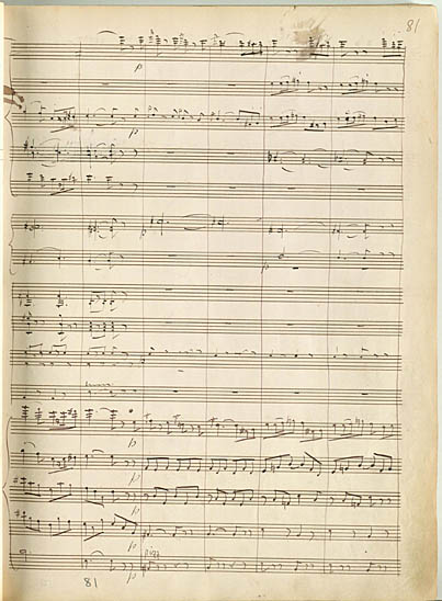 81